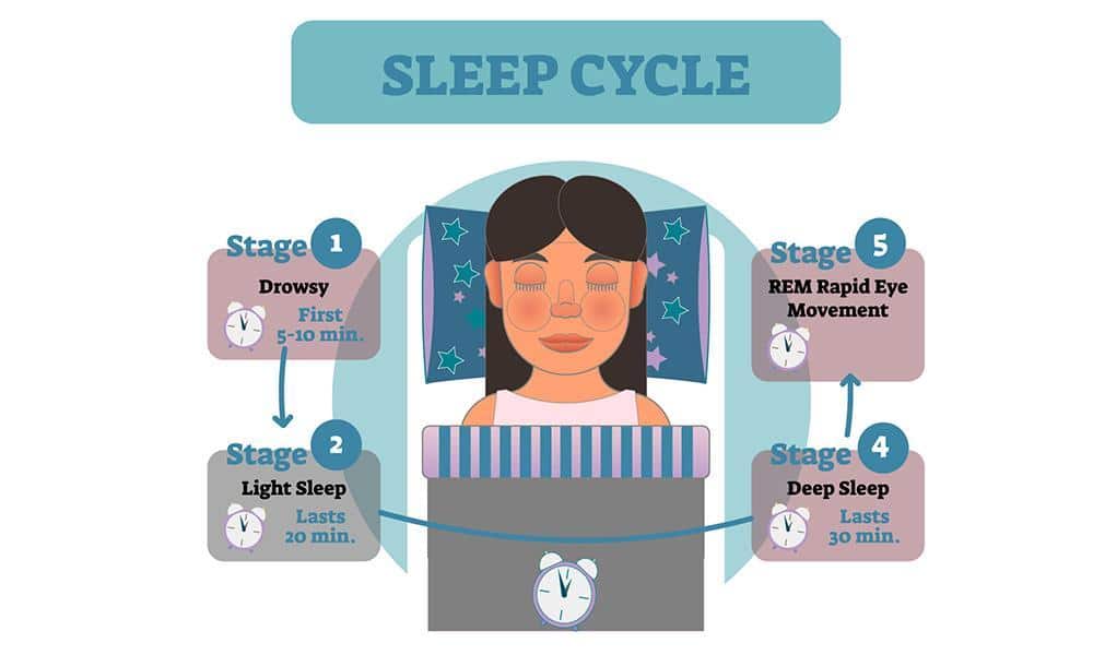 The sleep cycle, 4 stages of sleep