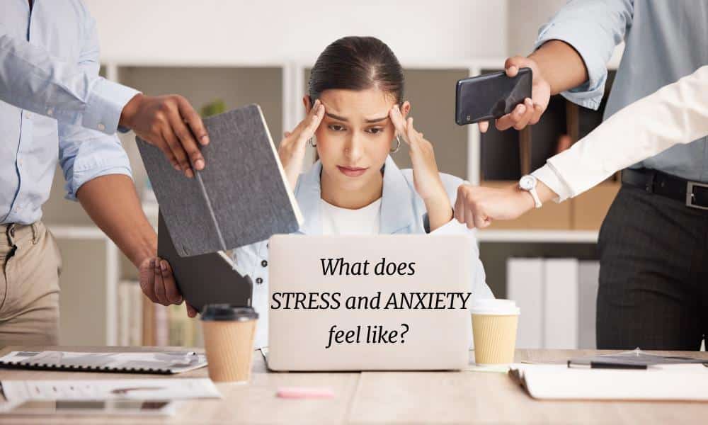 stress and anxiety